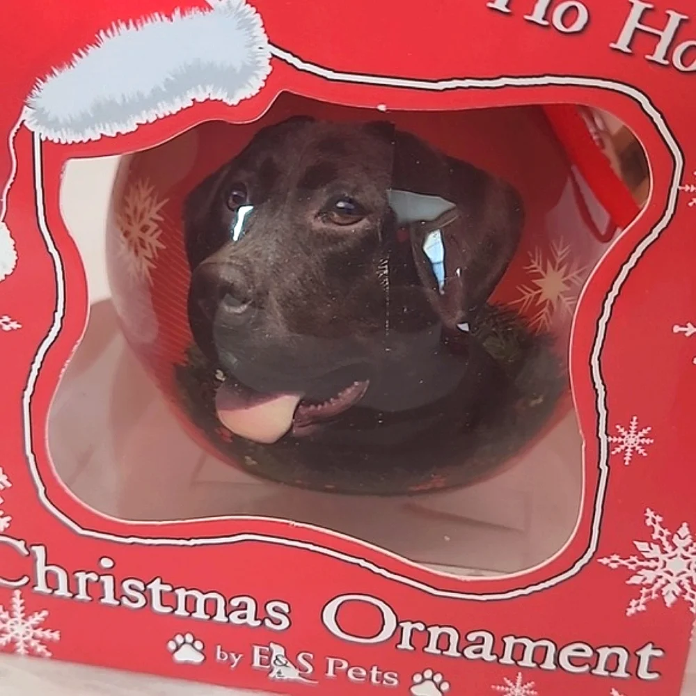 ๐๏ธ Kirkland's Christmas Ornament Labrador Retreiver Lab Dog Pair of Ornaments - Picture 4 of 15